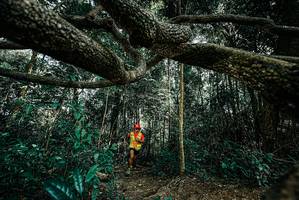 BIB: 
                            <button type="button" onclick="openModal(25706229)" class="btn btn-primary btn-sm float-right btn-popup" data-toggle="modal" data-target=".modal-high-quality">
                        <i class="fas fa-shopping-cart"></i> Add to Cart
                    </button>
                                            <button type="button" onclick="isThisMe(25706229, true)" class="btn btn-success btn-sm float-right btn-popup btn-isme hidden" data-toggle="tooltip" data-placement="bottom" title="นี่คือรูปของคุณใช่ไหม คลิกที่นี่เพื่อเอาเข้าอัลบั้ม">
                        <i class="fas fa-plus"></i> Add to album
                    </button>
                    <button type="button" onclick="isThisMe(25706229, false)" class="btn btn-warning btn-sm float-right btn-popup btn-isnotme hidden">
                        <i class="fas fa-ban"></i> Remove from album
                    </button>